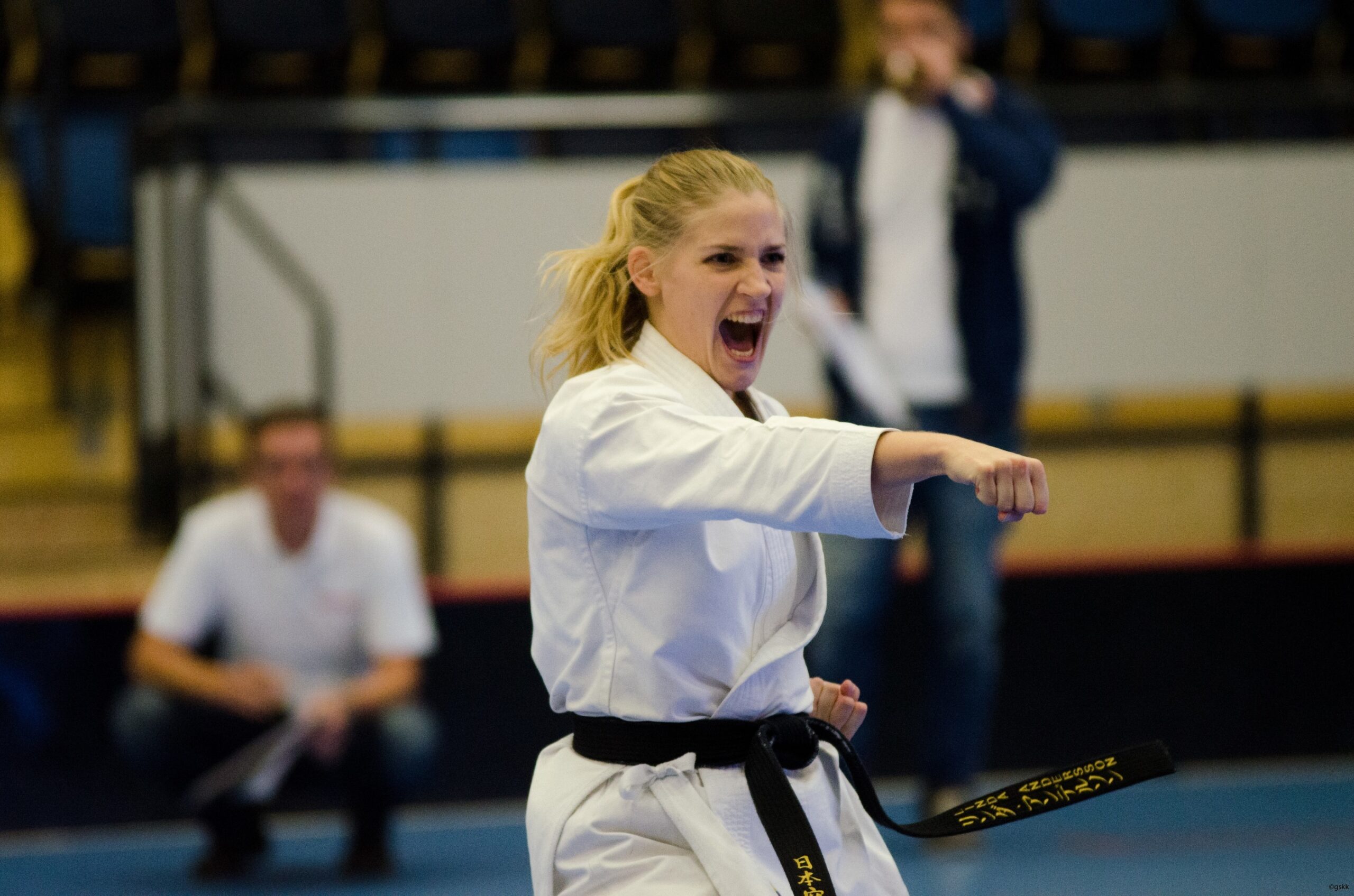 Shobu Ippon Skellefteå 2018-1
